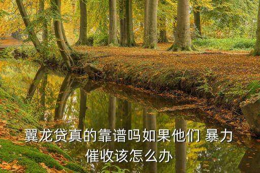  翼龍貸真的靠譜嗎如果他們 暴力 催收該怎么辦