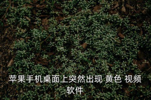哪里有黃色視頻