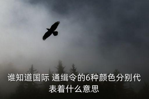 誰(shuí)知道國(guó)際 通緝令的6種顏色分別代表著什么意思
