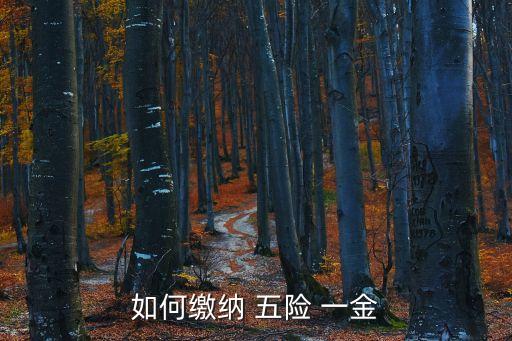如何繳納 五險(xiǎn) 一金
