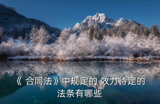 《 合同法》中規(guī)定的 效力待定的 法條有哪些