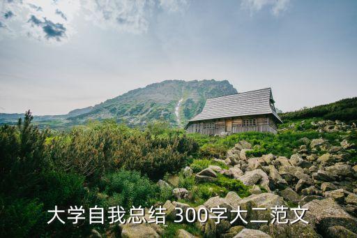 個人小結(jié)300字,發(fā)展對象個人小結(jié)300字