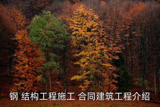 鋼 結(jié)構(gòu)工程施工 合同建筑工程介紹