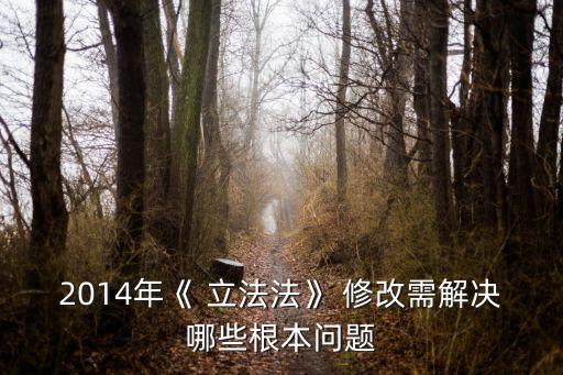 2014年《 立法法》 修改需解決哪些根本問題