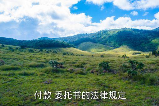 委托付款