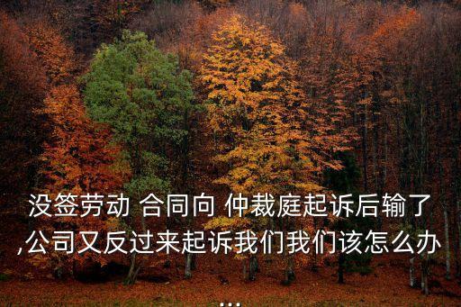 沒簽勞動(dòng) 合同向 仲裁庭起訴后輸了,公司又反過來起訴我們我們該怎么辦...