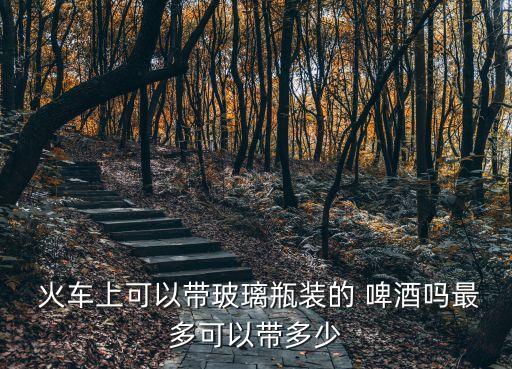  火車上可以帶玻璃瓶裝的 啤酒嗎最多可以帶多少