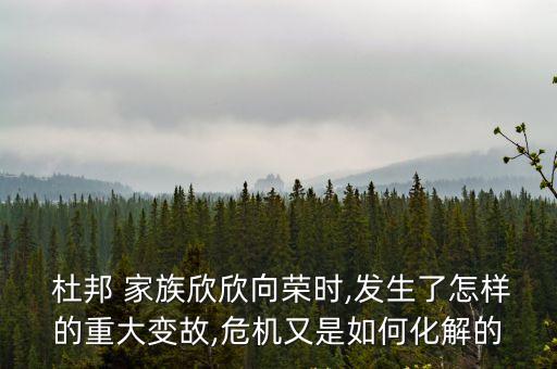 杜邦 家族欣欣向榮時,發(fā)生了怎樣的重大變故,危機又是如何化解的