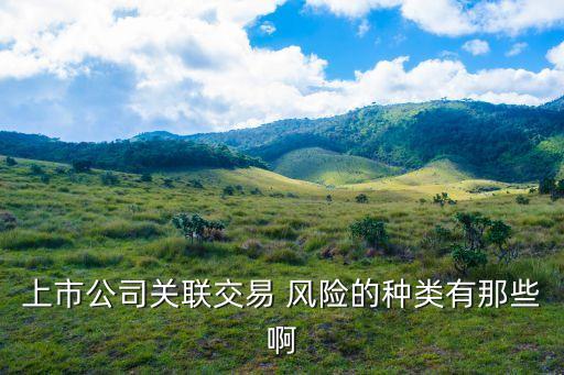 關(guān)聯(lián)風(fēng)險(xiǎn),無(wú)錫志廣微電子科技有限公司關(guān)聯(lián)風(fēng)險(xiǎn)