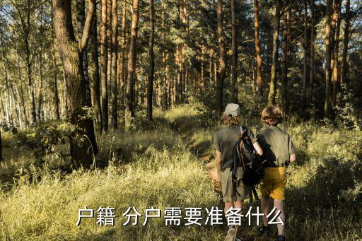 分戶(hù)需要什么材料,辦理戶(hù)口本分戶(hù)需要什么材料