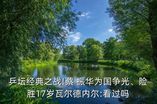 乒壇經(jīng)典之戰(zhàn)!蔡 振華為國爭光、險勝17歲瓦爾德內(nèi)爾:看過嗎