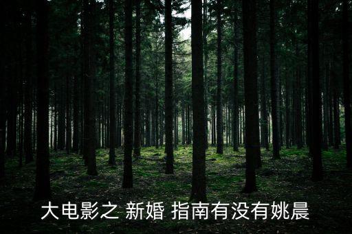 大電影之 新婚 指南有沒有姚晨