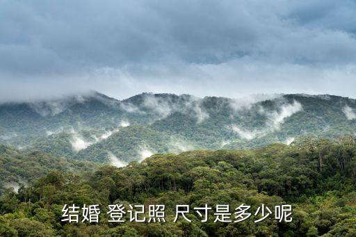 登記照片尺寸,深圳結(jié)婚登記照片尺寸