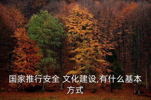 國家推行安全 文化建設,有什么基本方式