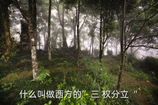 什么是三權(quán)分立,為什么我國不實行三權(quán)分立
