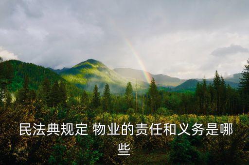  民法典規(guī)定 物業(yè)的責(zé)任和義務(wù)是哪些