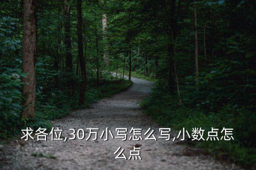三十萬(wàn)大寫(xiě),一百三十萬(wàn)大寫(xiě)