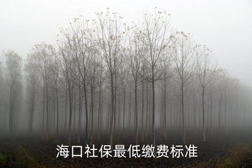 海口平均工資,海南?？谄骄べY