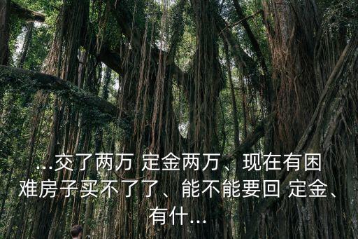 ...交了兩萬 定金兩萬、現(xiàn)在有困難房子買不了了、能不能要回 定金、有什...