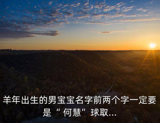 羊年出生的男寶寶名字前兩個字一定要是“ 何慧”球取...
