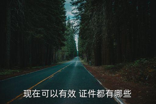 現在可以有效 證件都有哪些