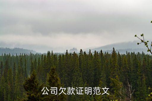 公司欠款證明范文