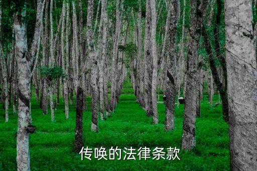 刑事傳喚