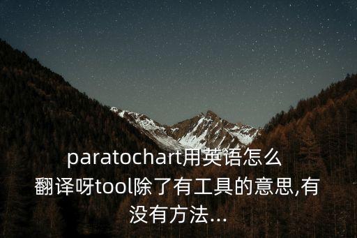 paratochart用英語怎么 翻譯呀tool除了有工具的意思,有沒有方法...