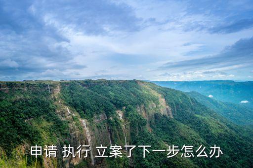 申請 執(zhí)行 立案了下一步怎么辦