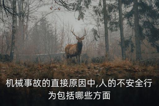 人的不安全行為有哪些,事故成因分析中人的不安全行為有哪些
