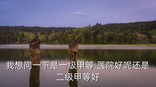 醫(yī)院幾級(jí)幾等最好,什么叫一級(jí)二級(jí)三級(jí)醫(yī)院