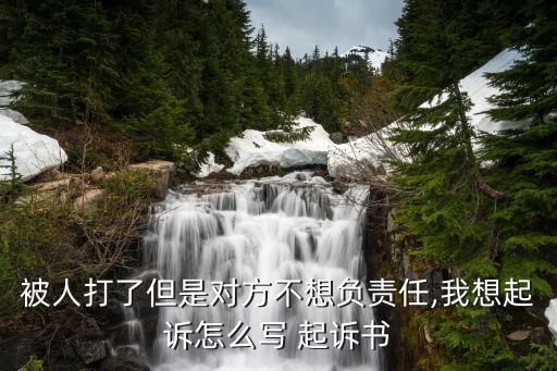被人打了但是對方不想負責(zé)任,我想起訴怎么寫 起訴書