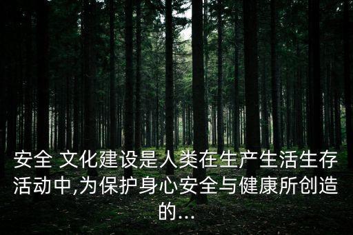 安全文化建設(shè)