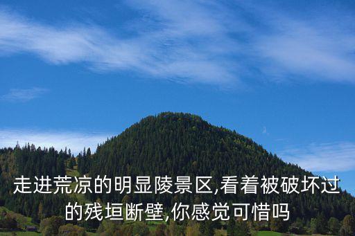 東仰陵吧,石家莊市東仰陵村