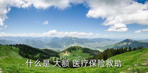 大額醫(yī)療費(fèi)用補(bǔ)助