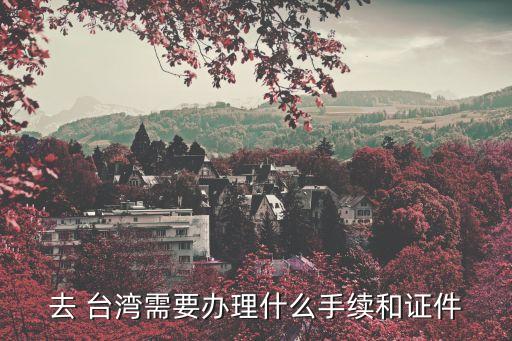 大陸居民往來臺灣通行證