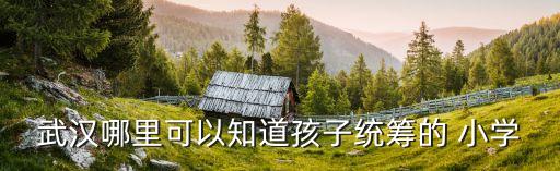 黃陂路小學(xué),江岸區(qū)黃陂路小學(xué)