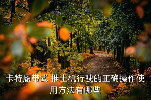 推土機駕駛員