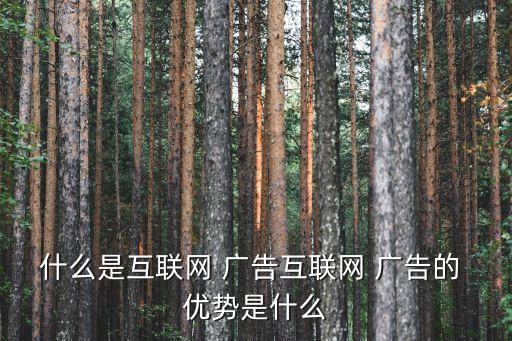 什么是互聯(lián)網(wǎng) 廣告互聯(lián)網(wǎng) 廣告的 優(yōu)勢是什么
