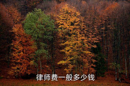  律師費一般多少錢