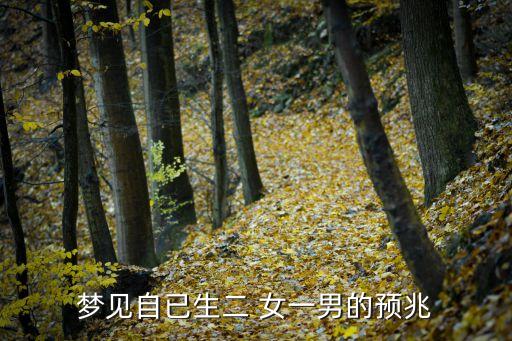 夢見自已生二 女一男的預(yù)兆