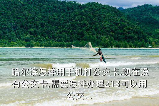  哈爾濱怎樣用手機(jī)打公交卡,現(xiàn)在沒(méi)有公交卡,需要怎樣辦理213可以用公交...