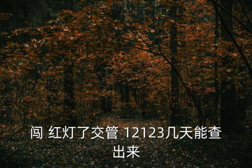 闖 紅燈了交管 12123幾天能查出來