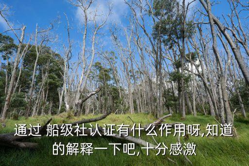 通過 船級社認(rèn)證有什么作用呀,知道的解釋一下吧,十分感激