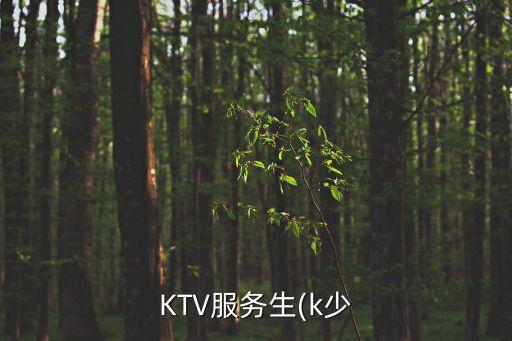 KTV服務(wù)生(k少