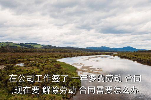在公司工作簽了 一年多的勞動 合同,現(xiàn)在要 解除勞動 合同需要怎么辦