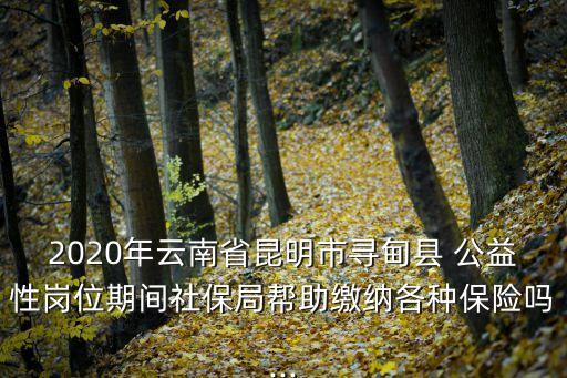公益性合同樣本,鋼結(jié)構(gòu)安裝合同樣本