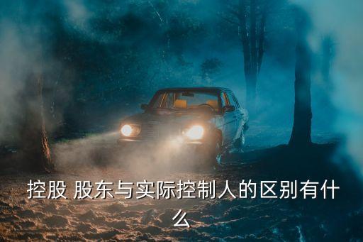 控股股東