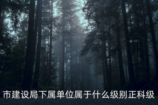 市建設(shè)局下屬單位屬于什么級別正科級