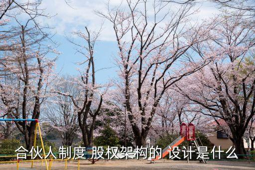 合伙人制度 股權(quán)架構(gòu)的 設(shè)計(jì)是什么